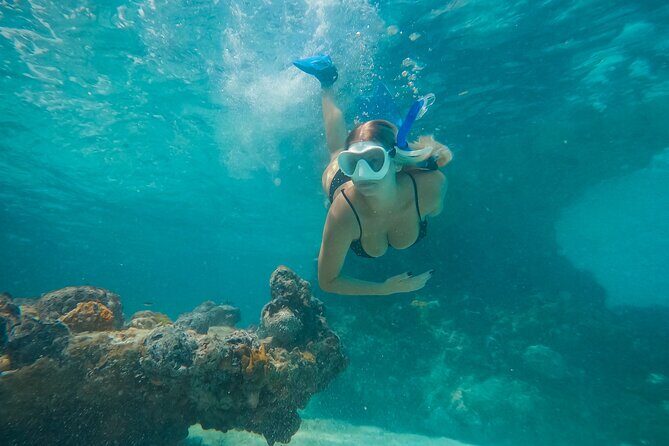 Private Half Day Luxury Snorkeling Charter - A Personal Take on the Private Half Day Luxury Snorkeling Charter