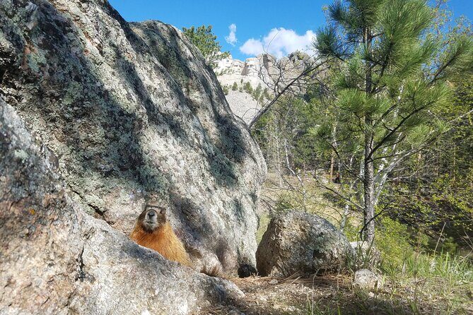 Private Half Day Mt Rushmore & Black Hills Tour - FAQ