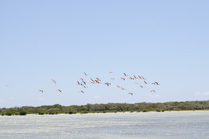 Private Half-Day Mud Bath Tour in La Laguna de Oviedo - Who Will Love This Tour?