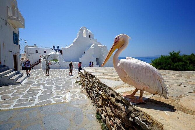 Private Half-Day Mykonos Insider Tour with Pick Up - Final Thoughts