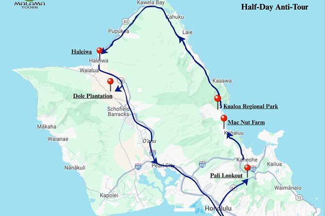 Private Half Day Oahu North Shore Anti-Tour - Who Should Consider This Tour?