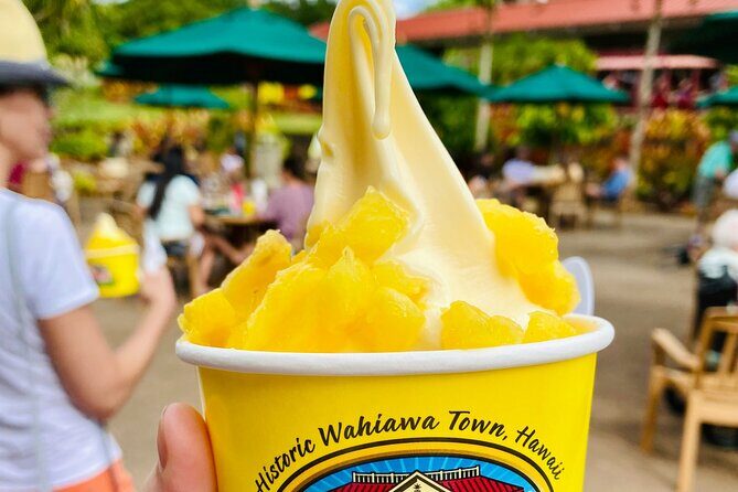 Private Half Day Oahu North Shore Anti-Tour - Final Thoughts