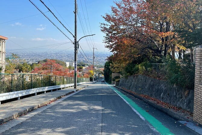 Private Half-Day Osaka Kita Guided Tour - FAQ: Your Practical Questions Answered