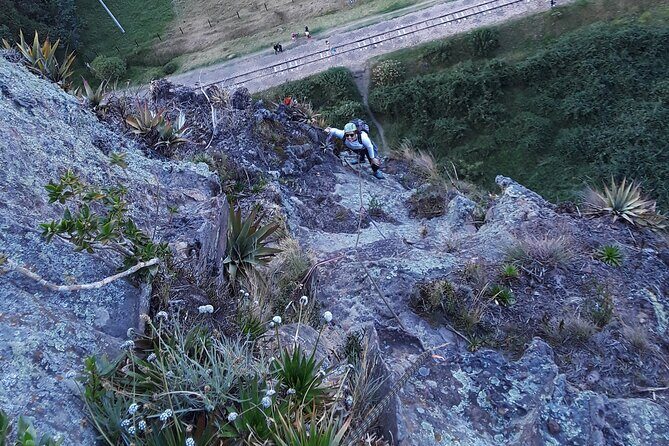 Private Half-day Rock Climbing Experience in the Suesca Rocks - Why This Tour Is a Great Value