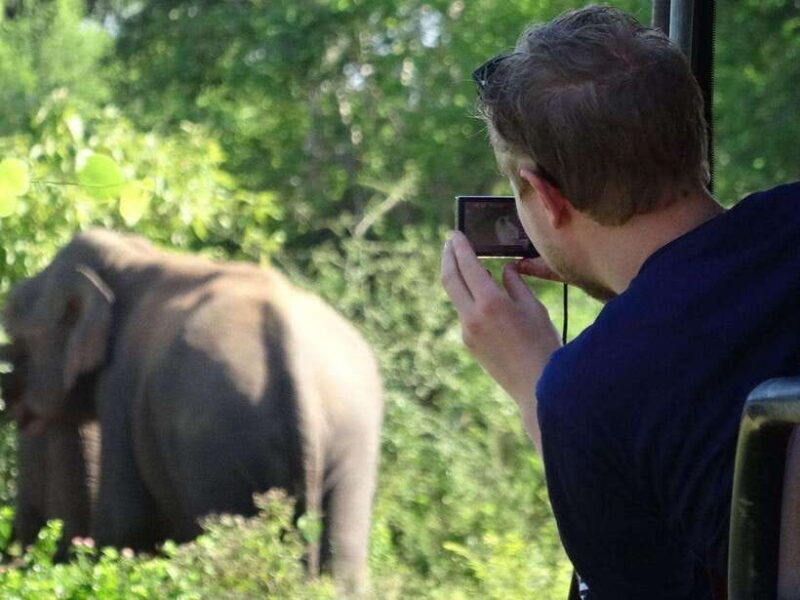 Private Half-Day Safari at Yala National Park - What Is It Really Like to Join This Yala Safari?