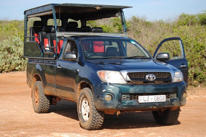 Private Half Day Safari Tour to Yala NP From Tangalle and Drop Back - A Dive into Yala: What to Expect from the Private Safari Tour