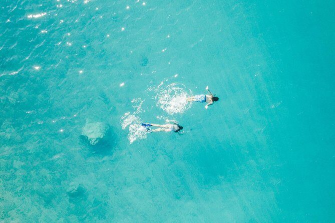 Private - Half Day Sailing from Hvar on a modern sail yacht (up to 8 travellers) - Pricing and Value