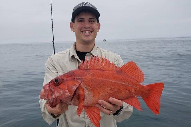 Private Half-Day San Diego Fishing Trip for up to 4 People - San Diego’s Coastline from a New Perspective: A Private Half-Day Fishing Trip