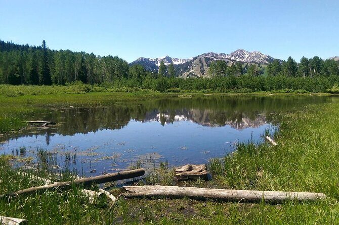 Private Half-Day Scenic Drive Through Salt Lake's Best Canyons - Frequently Asked Questions