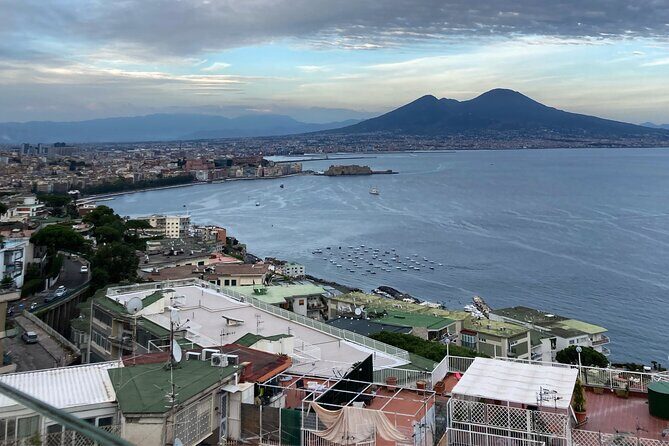 Private Half-Day Sightseeing Tour of Vesuvius National Park - Why This Tour Offers Good Value