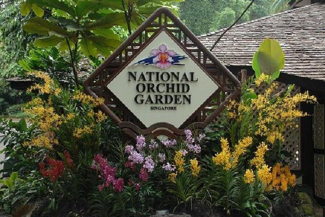 Private Half Day Singapore City Tour with Botanical Orchid Garden - Final Thoughts