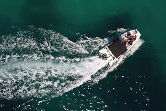 Private Half Day Speedboat tour to Zadar's Nearby Islands - Exploring the Tour: A Closer Look
