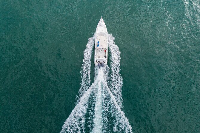 Private Half-Day Sportfishing in Bahia Uvita - Afternoon Session - Final Thoughts