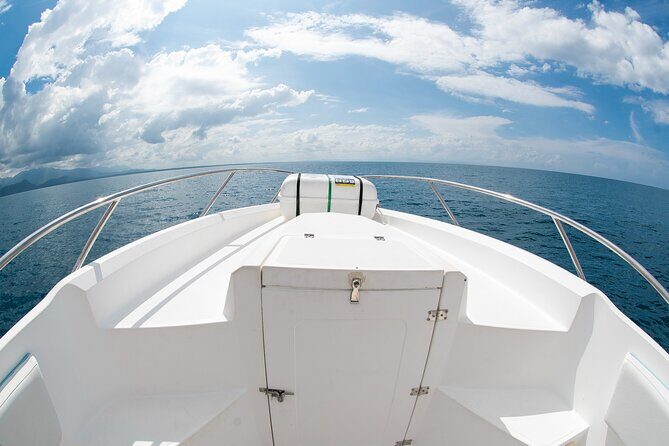 Private Half-Day Sportfishing in Bahia Uvita - Morning Session - FAQs