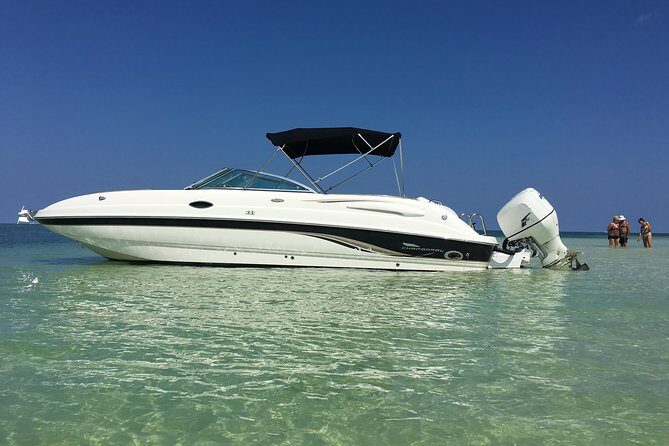 Private Half Day Stingray City, Snorkeling and Starfish Beach Tour - Key Points