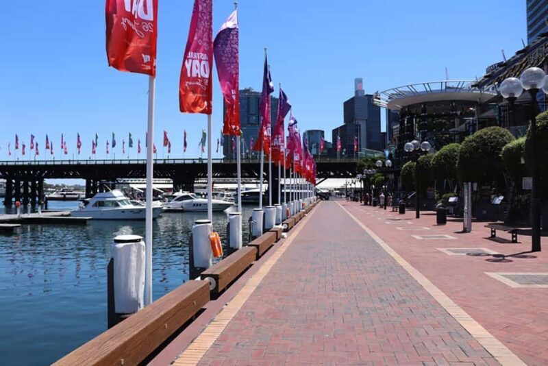 Private Half Day Sydney City Tour - Who Should Consider This Tour?