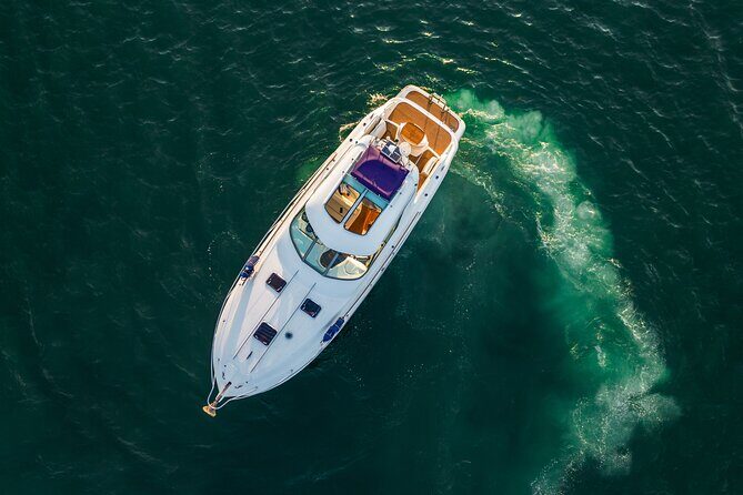 Private Half Day Sydney Harbour Cruise for up to 12 guests - Key Points