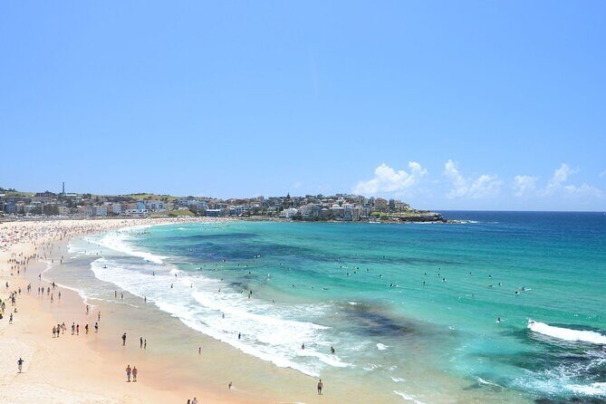 Private Half Day Sydney Tour by Vehicle & Boat - Sights & Sea - How This Tour Works: A Deep Dive