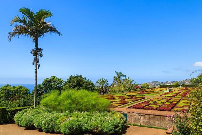 Private Half day tour around Madeira Island - Key Points