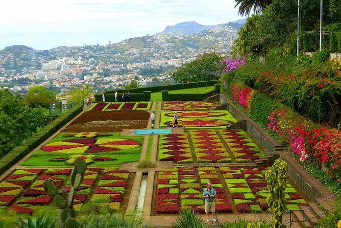 Private Half day tour around Madeira Island - A Deep Dive into the Private Madeira Half-Day Tour