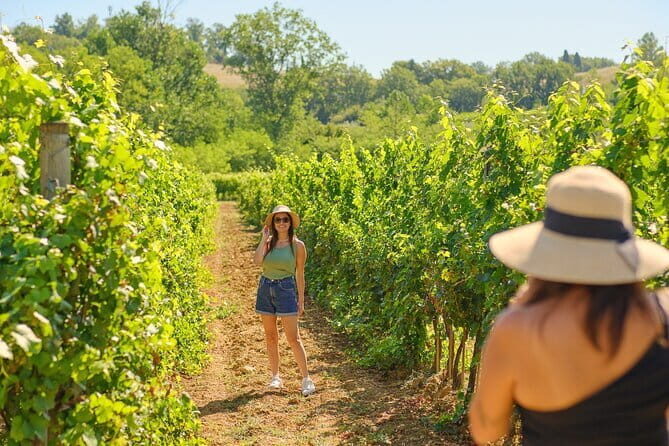 Private Half-Day Tour from Florence to Chianti Wine Region - The Experience in Detail