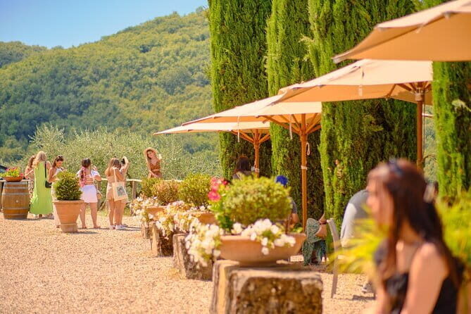 Private Half-Day Tour from Florence to Chianti Wine Region - What Travelers Can Expect