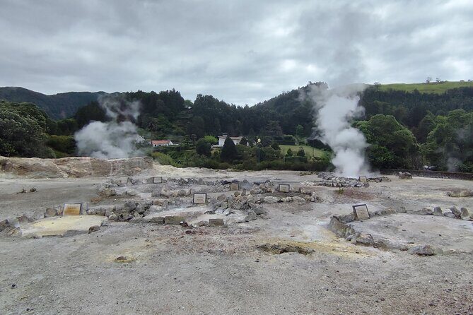 Private Half-Day Tour in Furnas São Miguel Island - In-Depth Review of the São Miguel Private Half-Day Tour