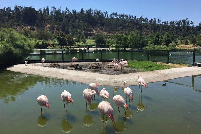 Private Half Day Tour in Santiago - Key Points