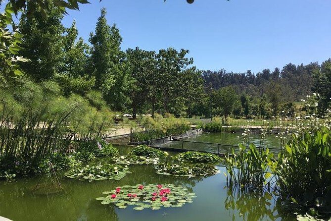 Private Half Day Tour in Santiago - In-Depth Look at the Itinerary