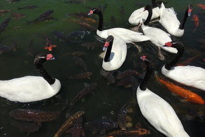 Private Half Day Tour in Santiago - Practical Details & What You Should Know