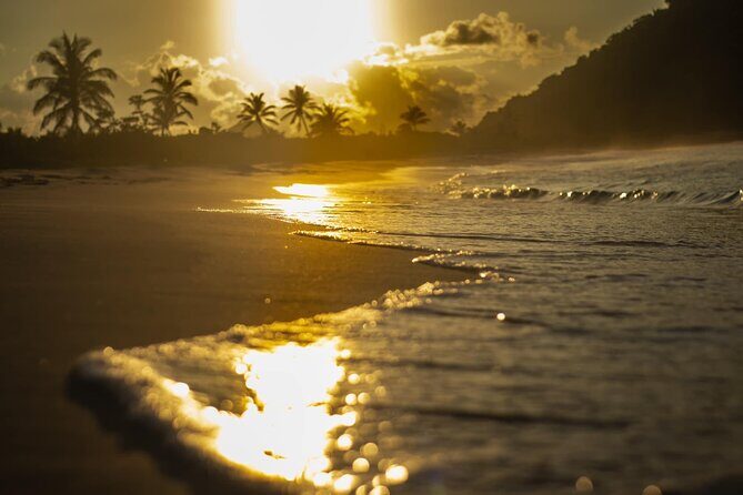 Private Half Day Tour in St. Thomas Virgin Islands with Guide - Practical Details and Tips for Travelers