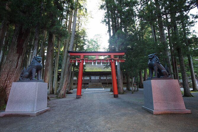 Private Half- Day Tour in Wakayama Koyasan - Final Thoughts