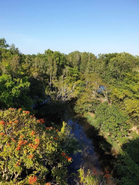 Private half day tour - Nature, wildlife & forest in Can Tho - A Detailed Look at the Lung Ngoc Hoang Half-Day Tour