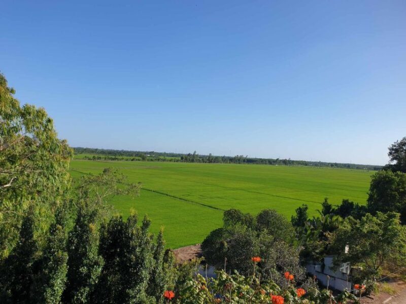 Private half day tour - Nature, wildlife & forest in Can Tho - Frequently Asked Questions (FAQs)