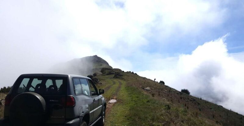 Private Half-Day Tour of Funchal Sky to Sea - The Practical Details