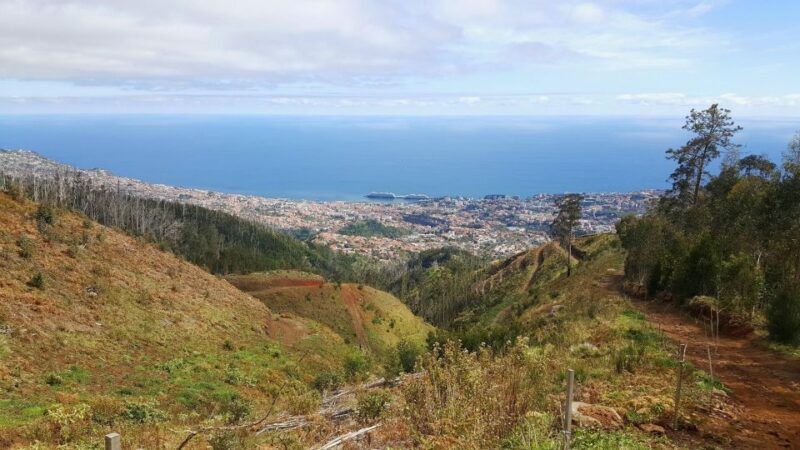 Private Half-Day Tour of Funchal Sky to Sea - Frequently Asked Questions