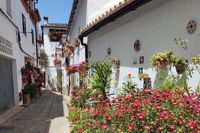 Private half-day tour of Ronda and the White Villages with native - A Thorough Breakdown of the Itinerary