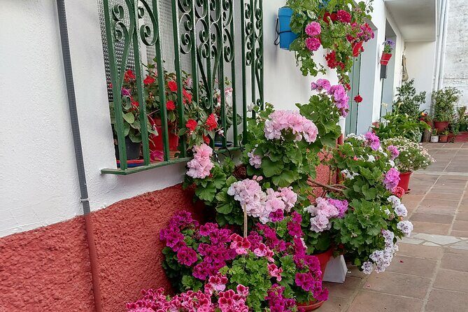 Private half-day tour of Ronda and the White Villages with native - FAQ: Practical Questions About the Tour