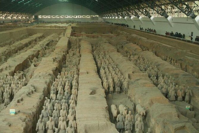 Private Half-Day Tour of Terracotta Warriors Museum From Xi'an - Why Choose This Private Tour?