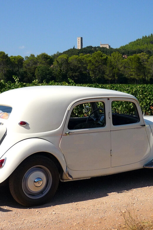Private Half-Day Tour of the French Riviera in a Vintage Car - Who Is This Tour Best Suited For?