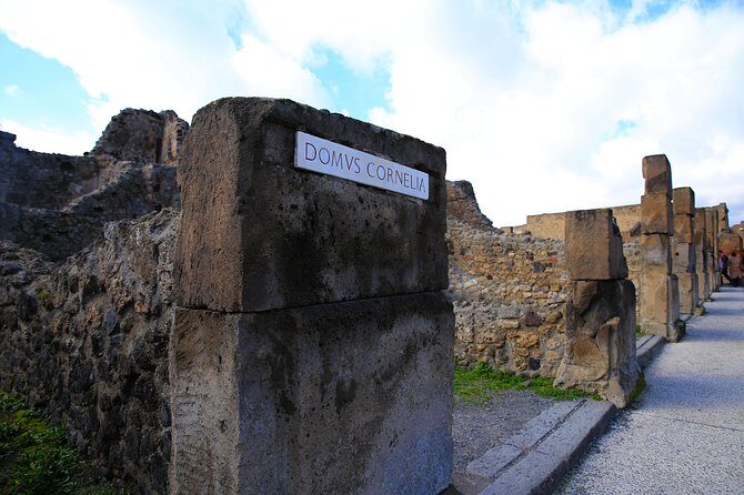 Private Half-Day Tour of The Pompeii Ruins Highlights and Mann - A Deep Dive: What to Expect from This Pompeii & Naples Museum Tour