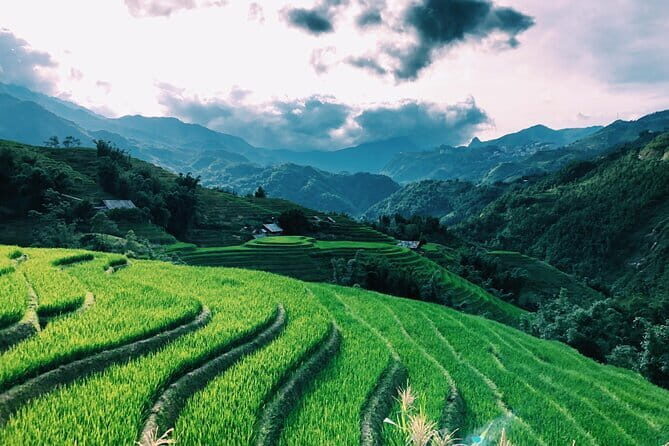 Private Half-Day Tour of Villages, Terrace Rice Fields by Car - The Details of the Tour