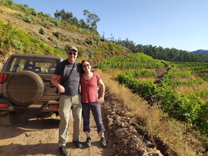 Private Half-Day Tour of Wine Fields - Private Half-Day Tour of Wine Fields in Madeira: A Balance of Nature, Culture, and Adventure