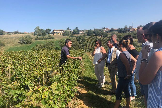 Private half-day tour to Golden Stone Beaujolais with tastings - An In-Depth Look at the Beaujolais Half-Day Tour