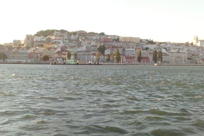 Private Half Day Tour to the City Center of Lisbon - Exploring Lisbon’s Heart in a Few Hours: A Private Half-Day Tour Review