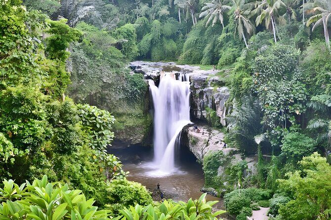 Private Half-Day Tour : Ubud Waterfall Tour Packages - Overview of the Ubud Waterfall Tour