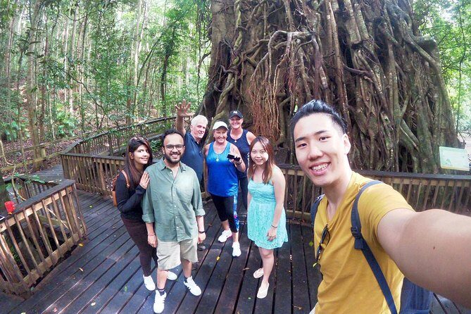 Private Half Day Tour: World Heritage Rainforest & Waterfall - Key Points