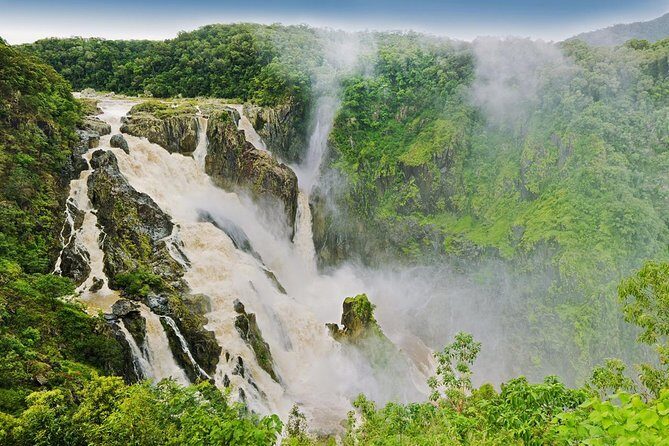Private Half Day Tour: World Heritage Rainforest & Waterfall - Inside the Experience: What to Expect