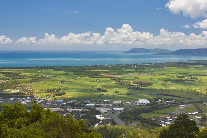 Private Half Day Tour: World Heritage Rainforest & Waterfall - Authentic Review Highlights