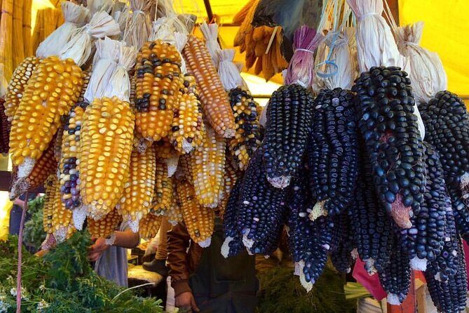 Private Half-Day Traditional Markets Street Food Tour in Mexico City - FAQ